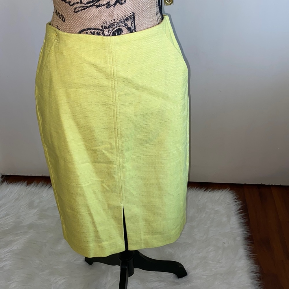 NWT Loft skirt